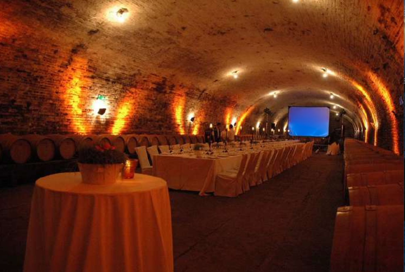 Cena corporativa en bodega de vinos